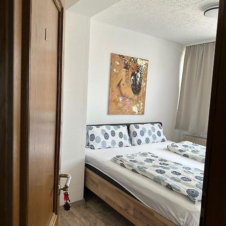 Hotel Gambrinus 迪林根安得萨尔 外观 照片