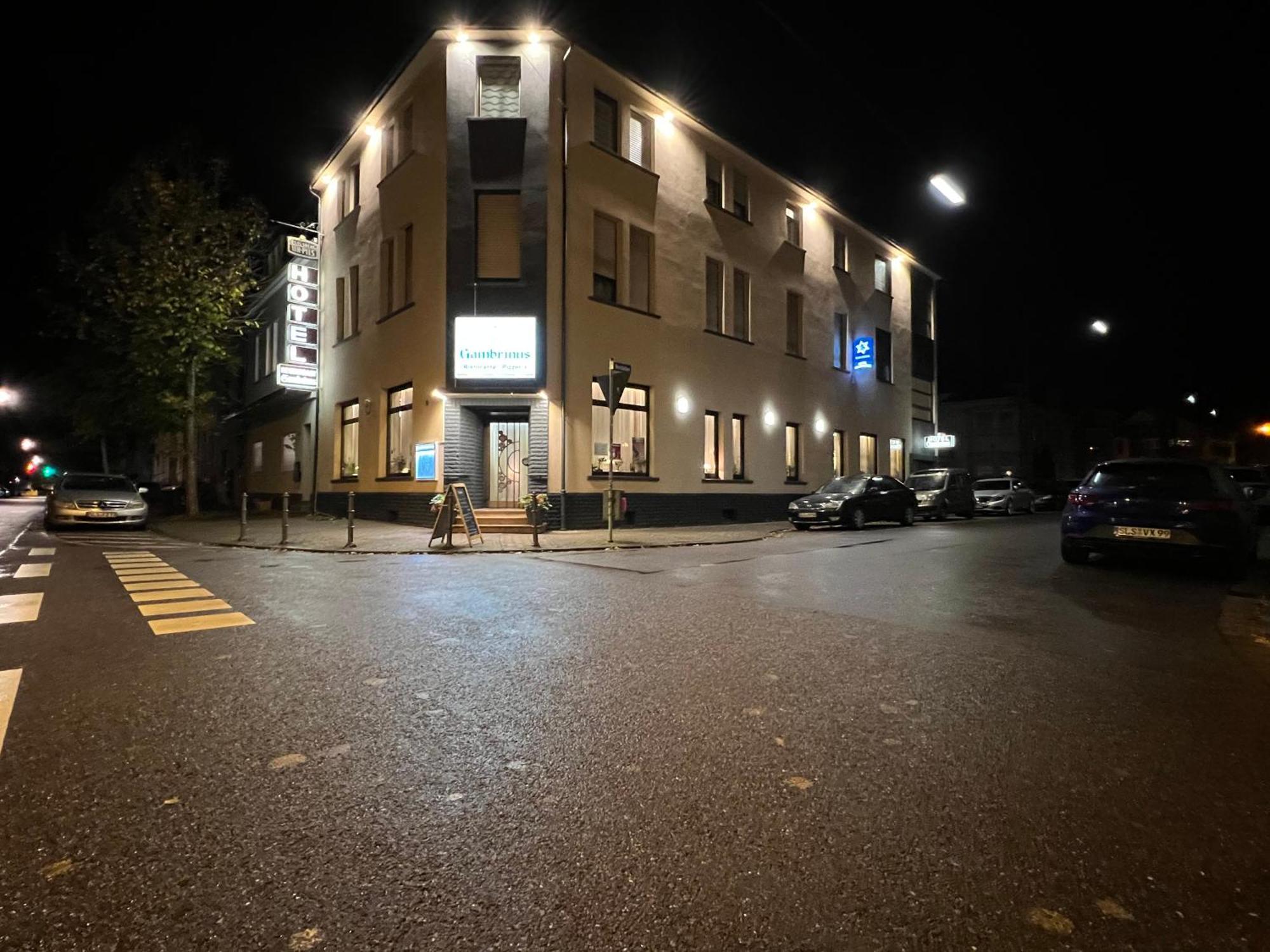 Hotel Gambrinus 迪林根安得萨尔 外观 照片